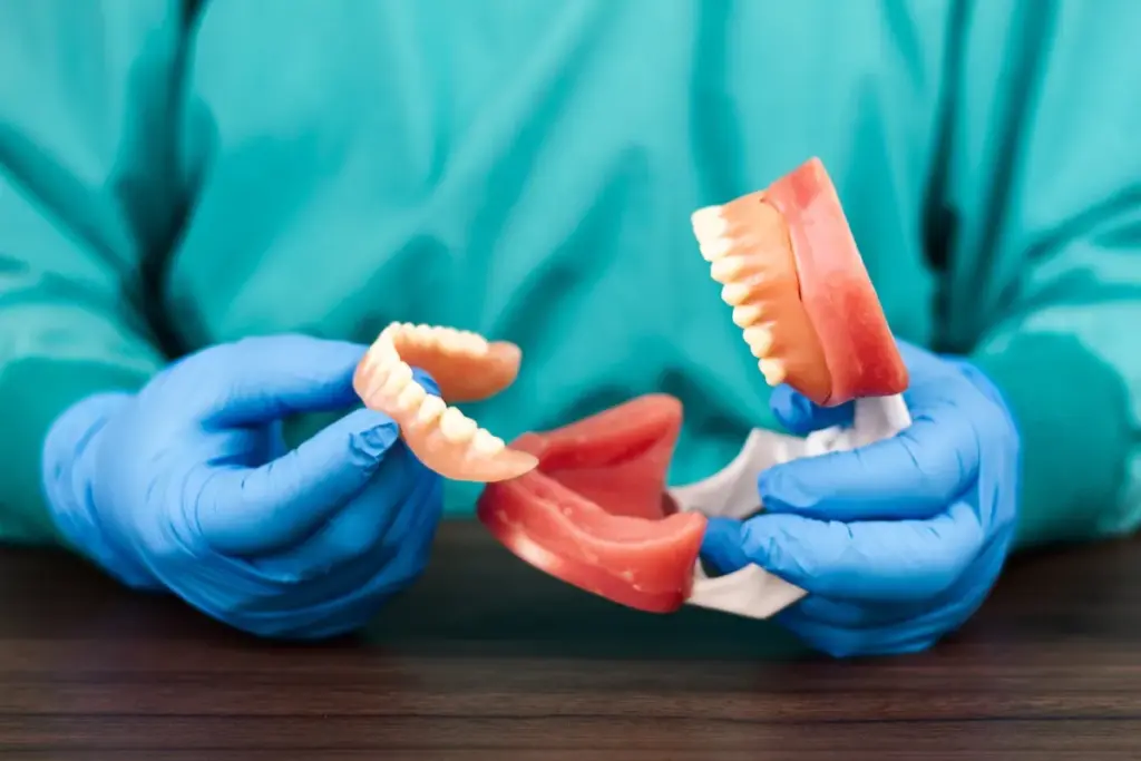 A dentist holds an anatomical model of a jaw with a full set of teeth. Oral rehabilitation procedures and fillings; use of a dental model for professional clinical consultation